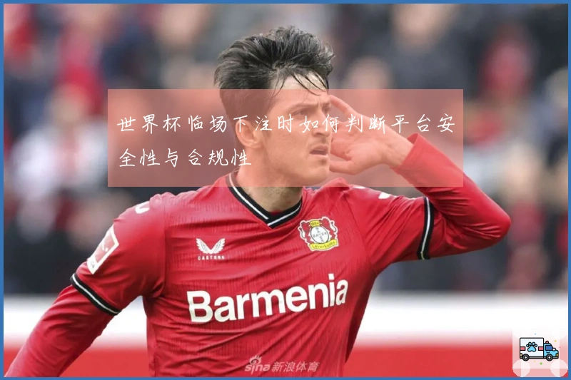 世界杯临场下注时如何判断平台安全性与合规性